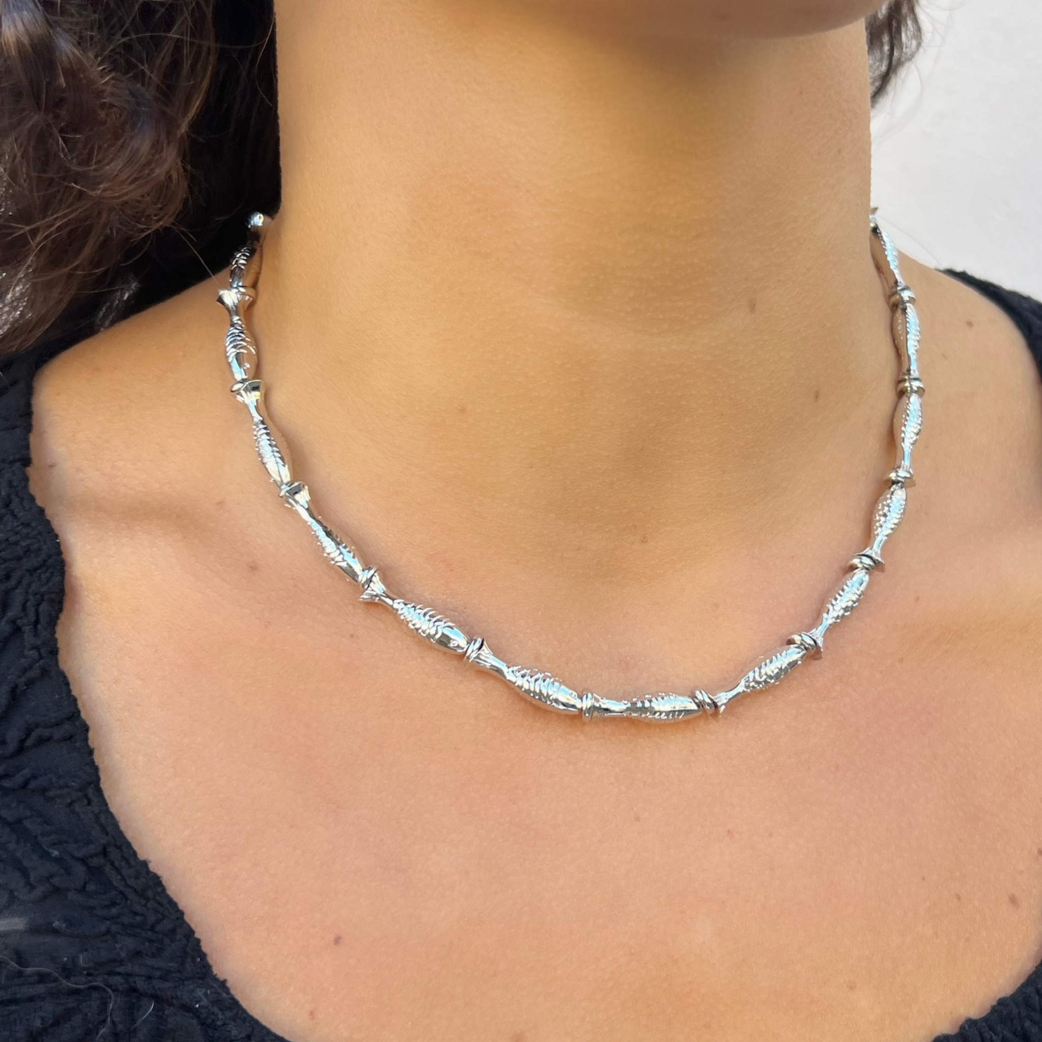 Catchoftheday-Silver_on model