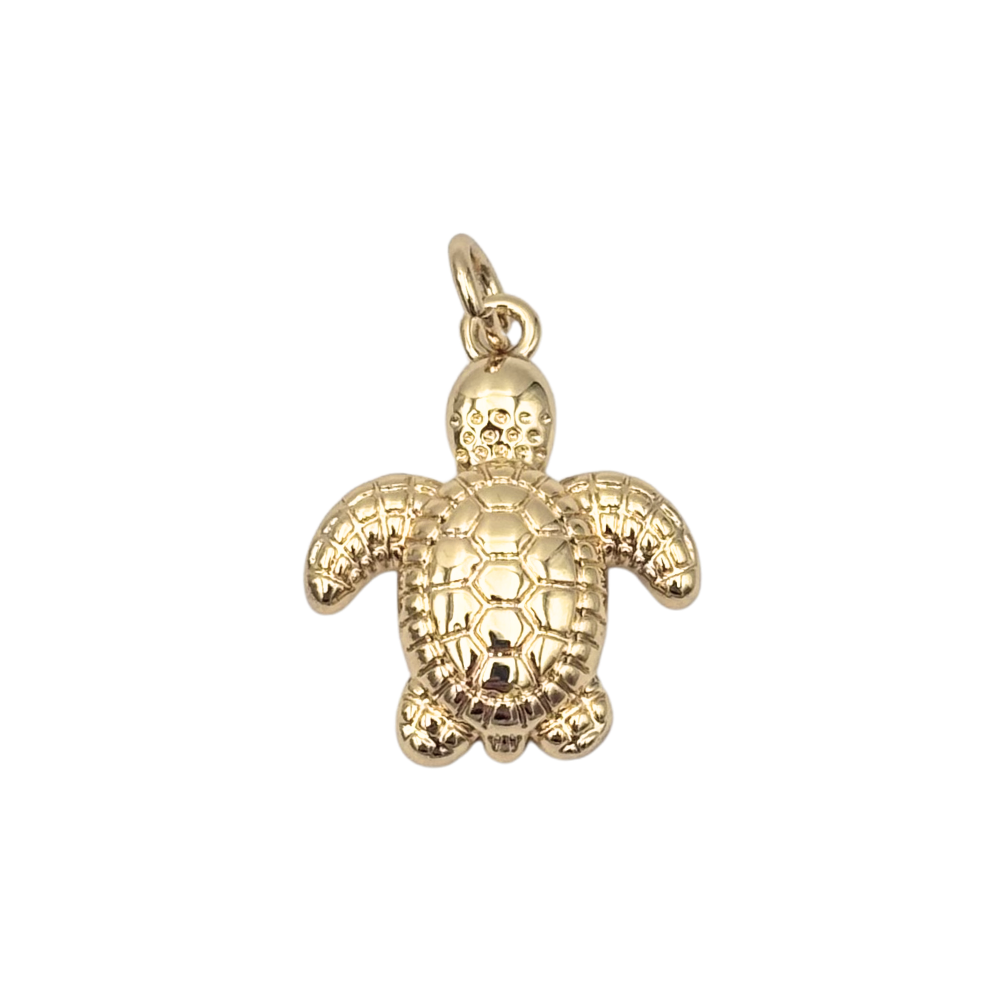 Gold turtle with a textured body by HOLST+LEE