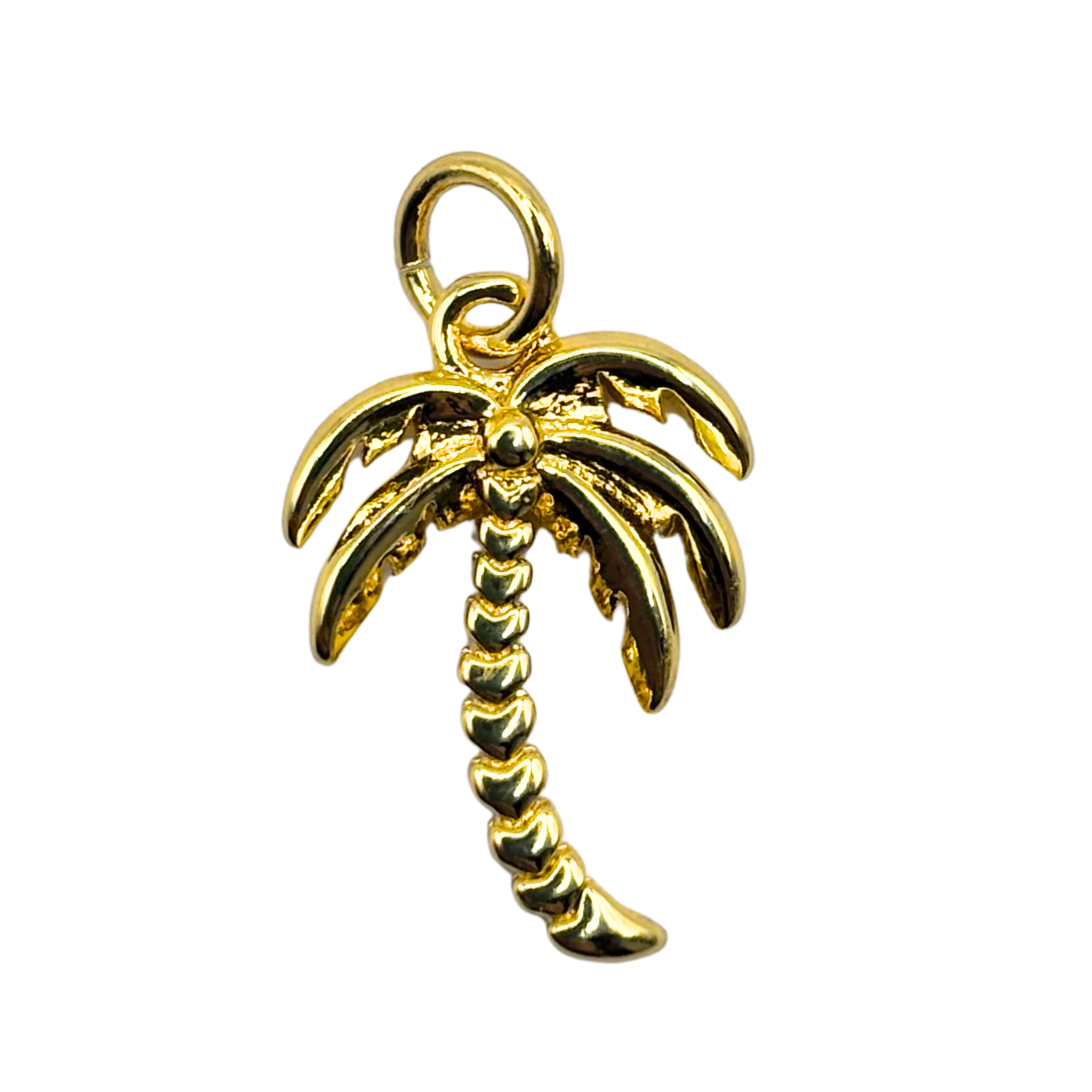 Charleston Charms