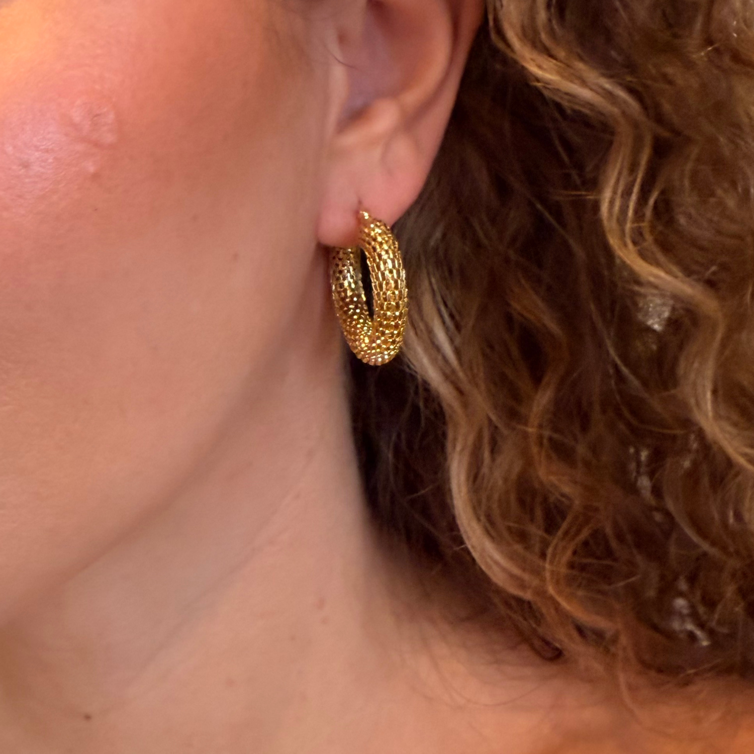 MeshCircleHoop-onmodel