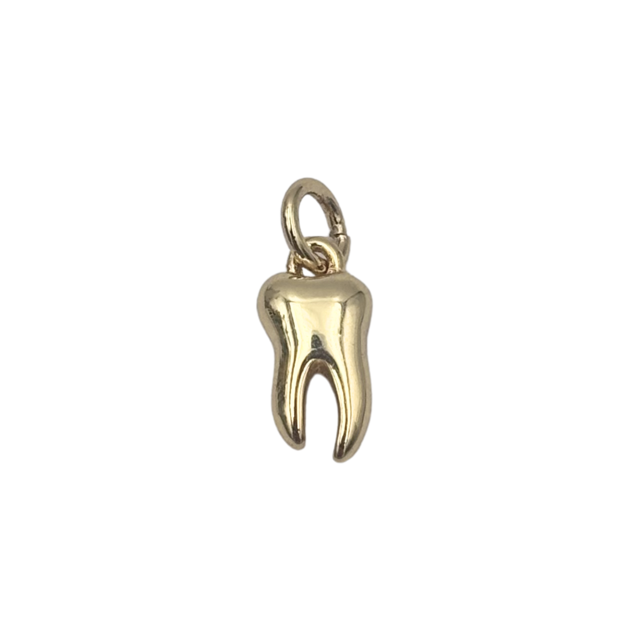 Gold molar tooth charm with smooth polished finish by HOLST+LEE