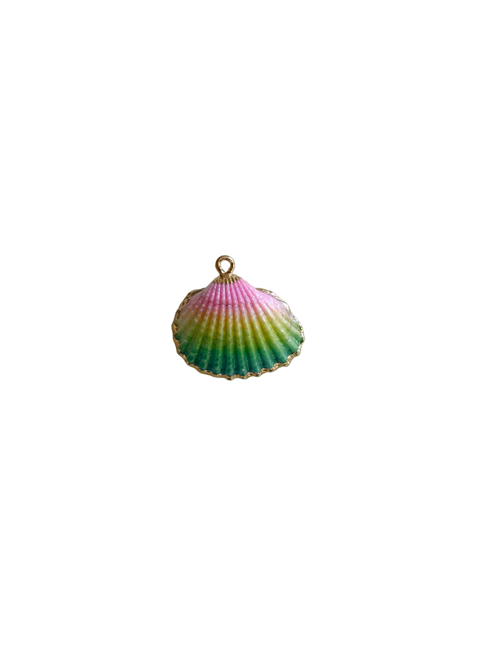 Seashell Charms